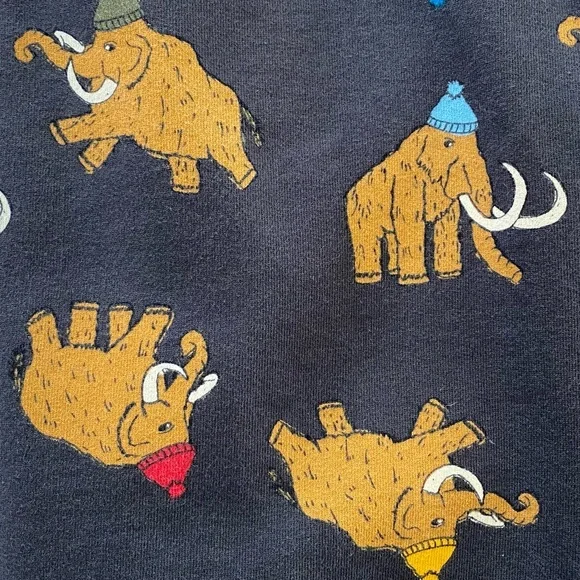 Hanna Andersson Colorful Winter Woolly Mammoth Crewneck Sweatshirt - Picture 10 of 12